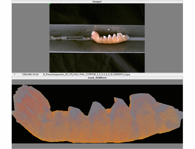 For the first time ever, breakthrough solutions that overlay 3D machine vision with AI are enabling tasks such as vegetable and fish processing to be performed with unprecedented accuracy and repeatability