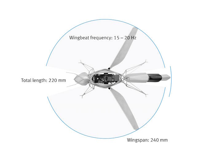 Functional integration in a small space: the bee’s body contains the compact design for the wing-beating mechanism, the communication technology, and the control components for wing beating and adaptation of the wing geometry